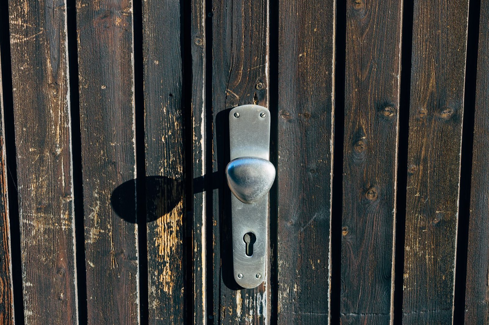 Home security category illustration